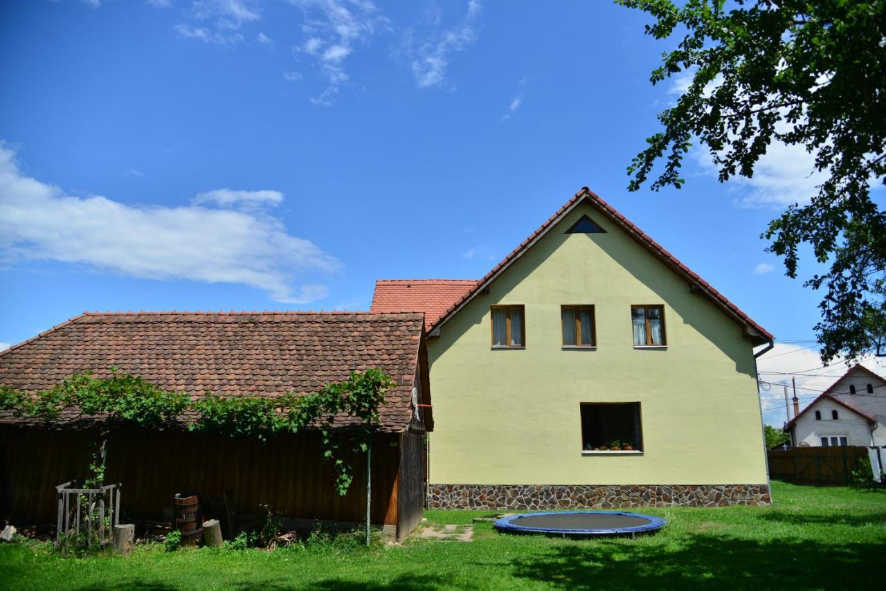 Casa Rudi & Ella Hotel Sălişte Buitenkant foto