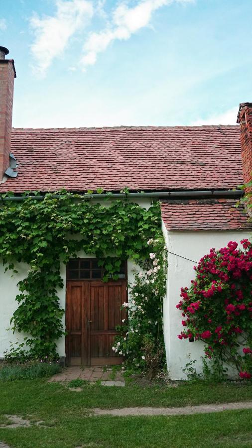 Casa Rudi & Ella Hotel Sălişte Buitenkant foto