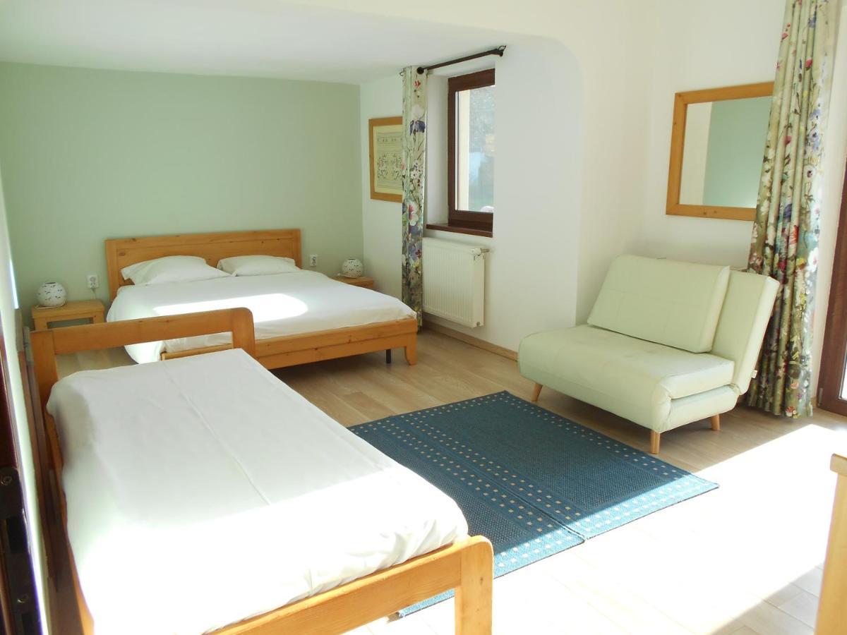 Casa Rudi & Ella Hotel Sălişte Buitenkant foto